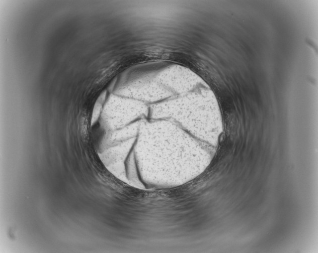 X0000097961154200804211055