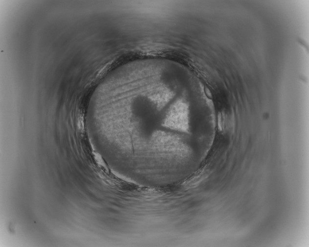 X0000097961155200804211055