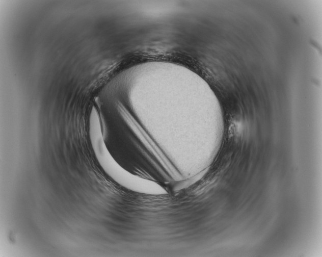 X0000097961156200804211055