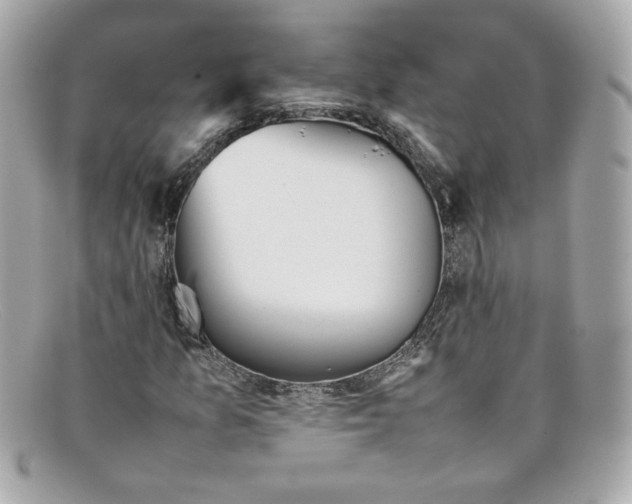 X0000097961157200804211055