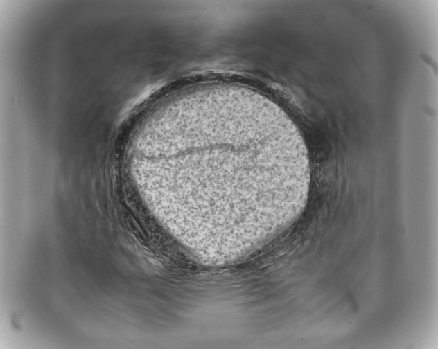 X0000097961159200804211055
