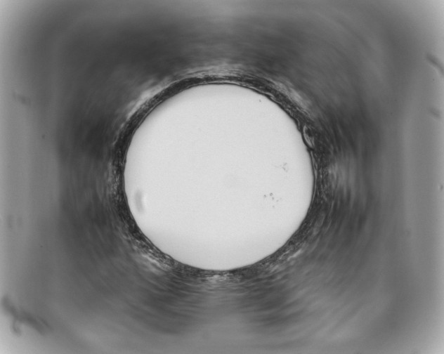 X0000097961160200804211055