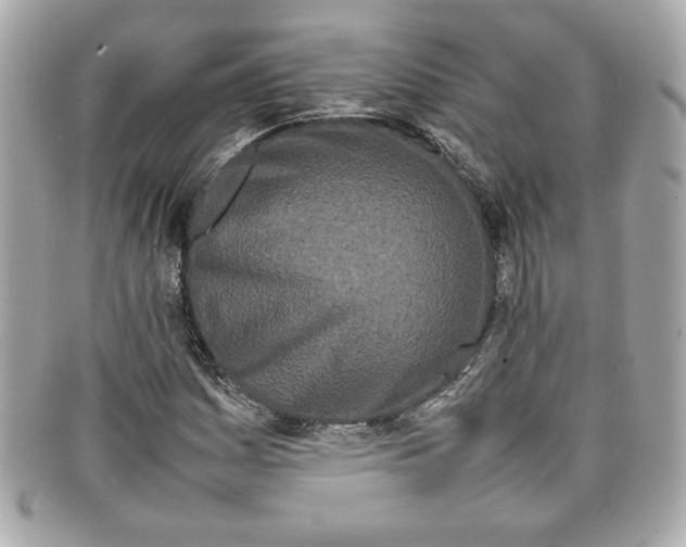X0000097961161200804211055