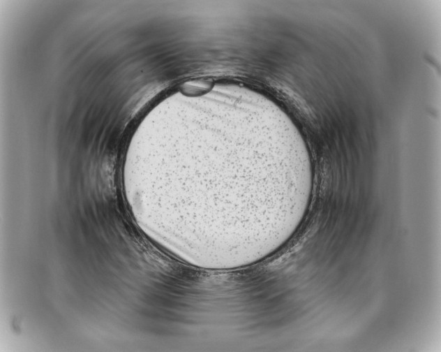 X0000097961162200804211055