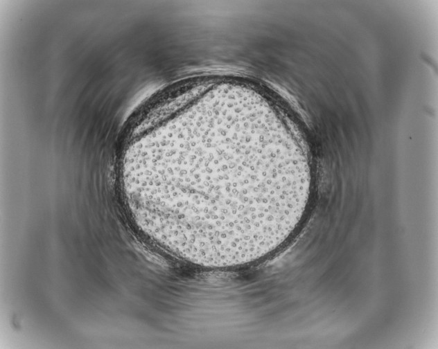 X0000097961163200804211055