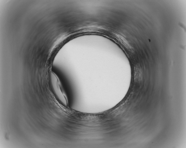 X0000097961164200804211055