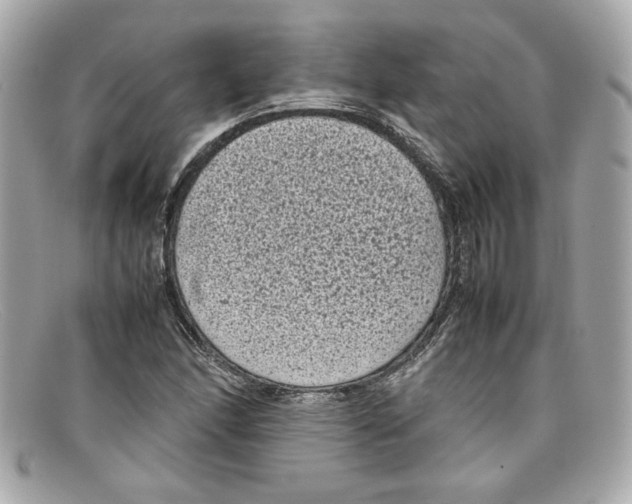 X0000097961166200804211055