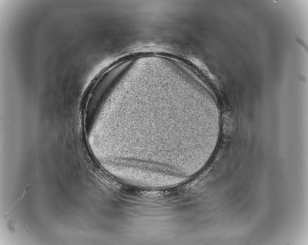 X0000097961167200804211055