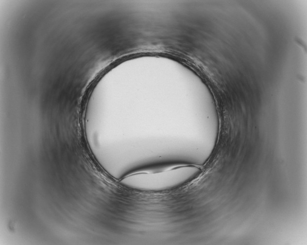 X0000097961168200804211055