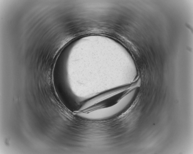X0000097961170200804211055