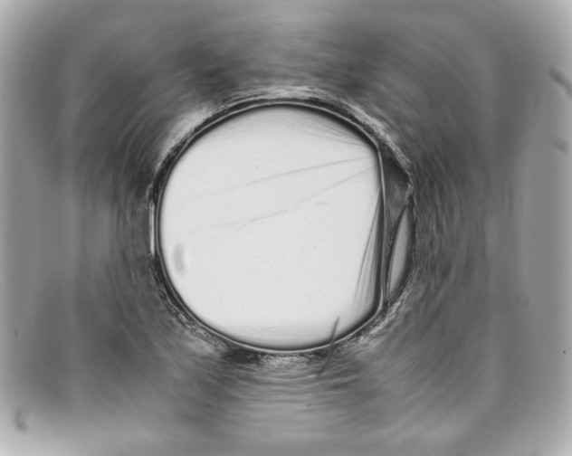 X0000097961171200804211055