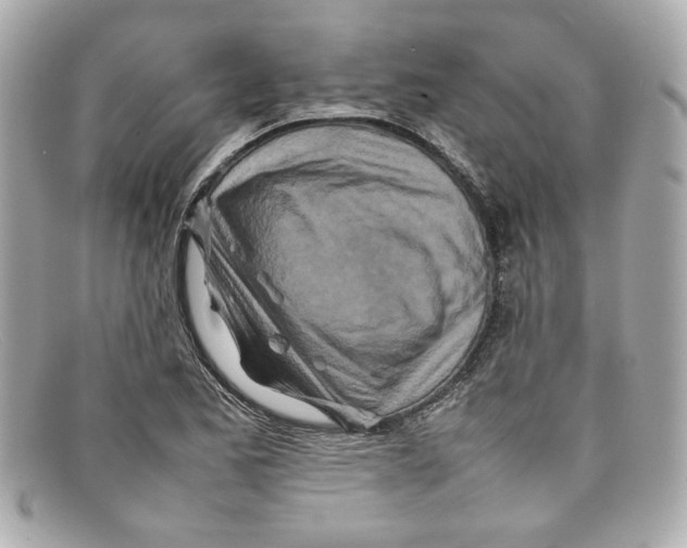 X0000097961173200804211055