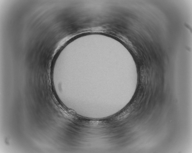 X0000097961176200804211054