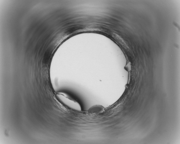 X0000097961177200804211054