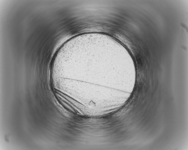 X0000097961179200804211054