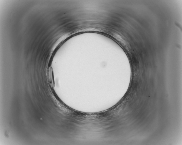 X0000097961181200804211054