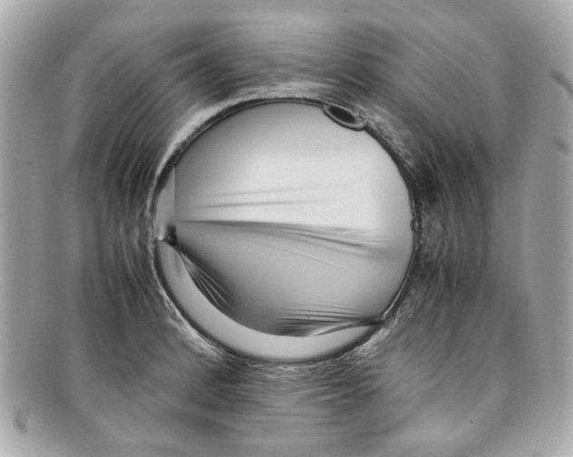 X0000097961184200804211054
