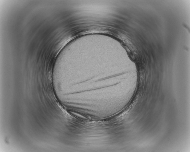 X0000097961185200804211054