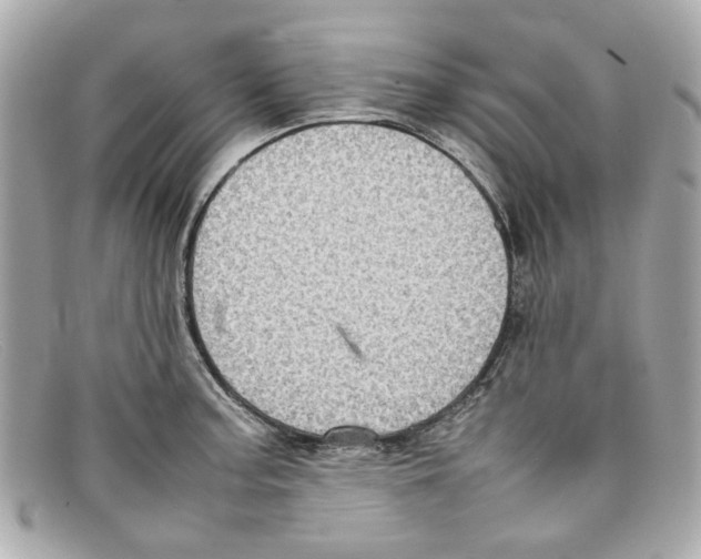 X0000097961187200804211054