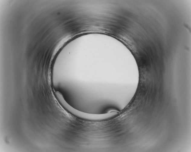 X0000097961188200804211054