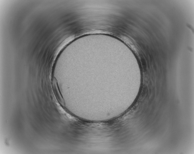 X0000097961189200804211054