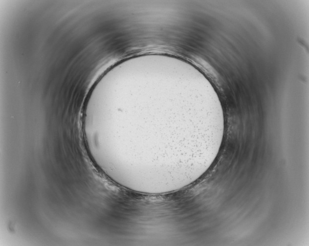 X0000097961190200804211054