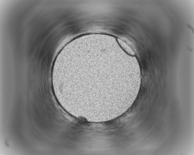 X0000097961191200804211054