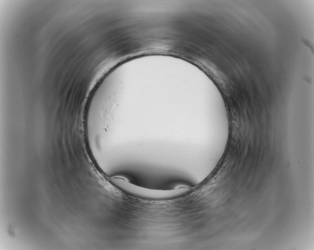 X0000097961192200804211054