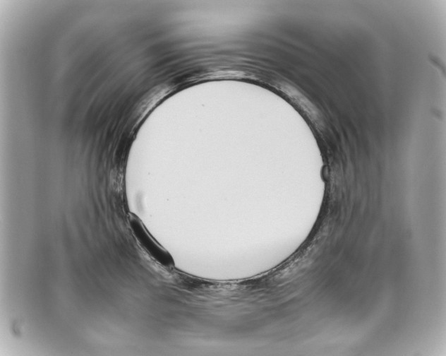 X0000097961193200804211054