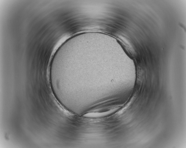 X0000097961196200804211054