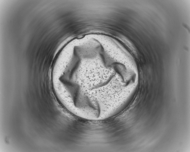 X0000097961198200804211054