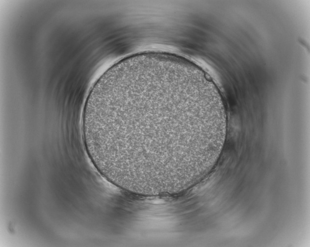 X0000097961199200804211054
