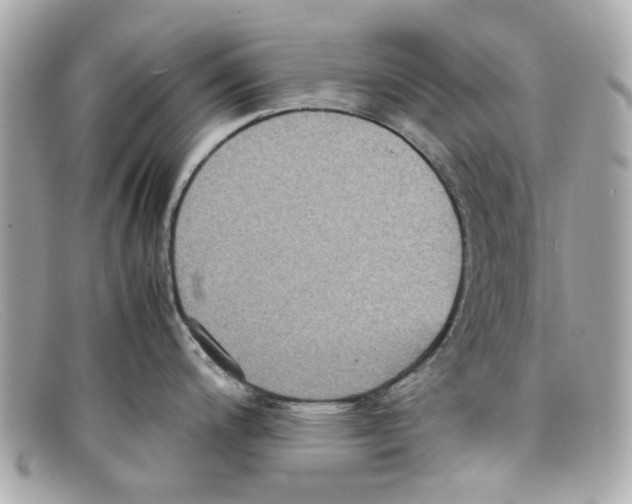 X0000097961200200804211054