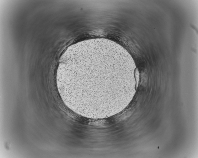 X0000097961201200804211053