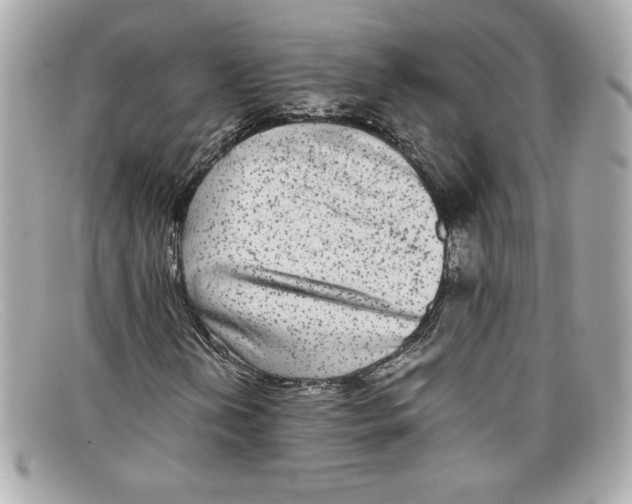 X0000097961202200804211053