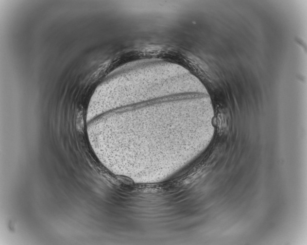 X0000097961204200804211053