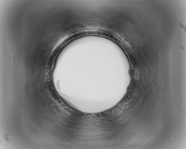 X0000097961208200804211053