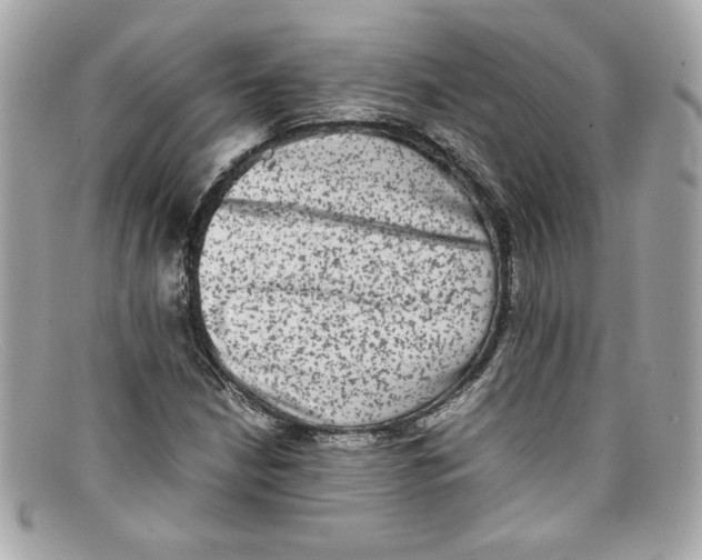 X0000097961210200804211053