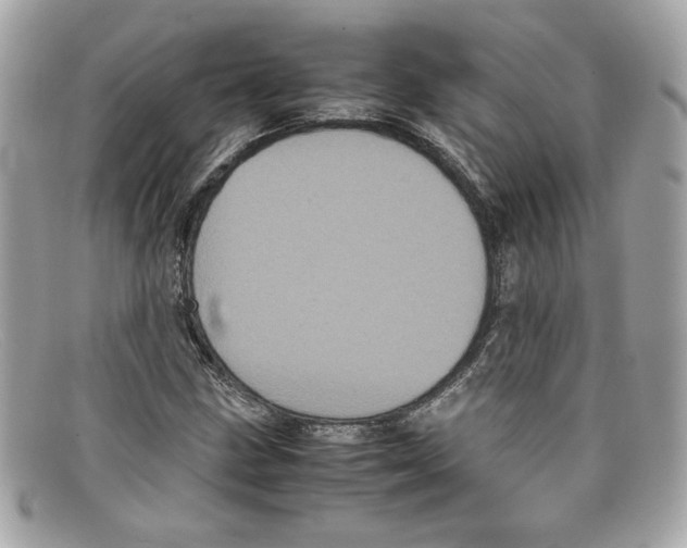 X0000097961211200804211053