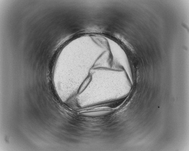 X0000097961213200804211053