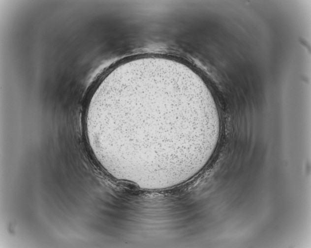 X0000097961214200804211053