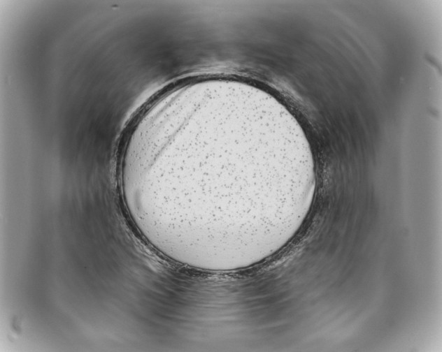 X0000097961216200804211054