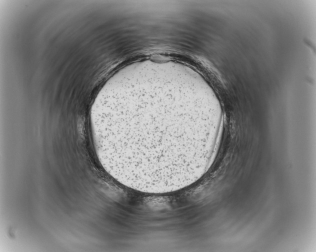 X0000097961217200804211054