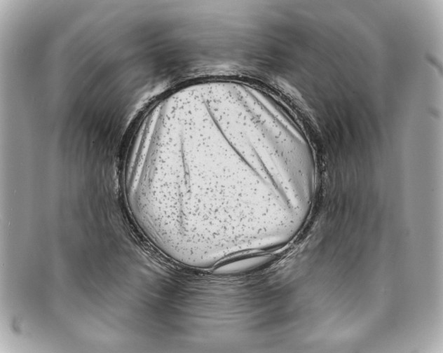 X0000097961218200804211054
