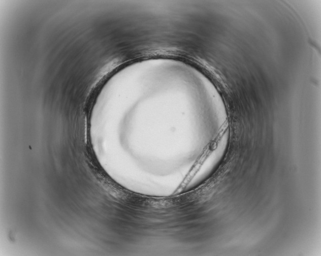 X0000097961219200804211054