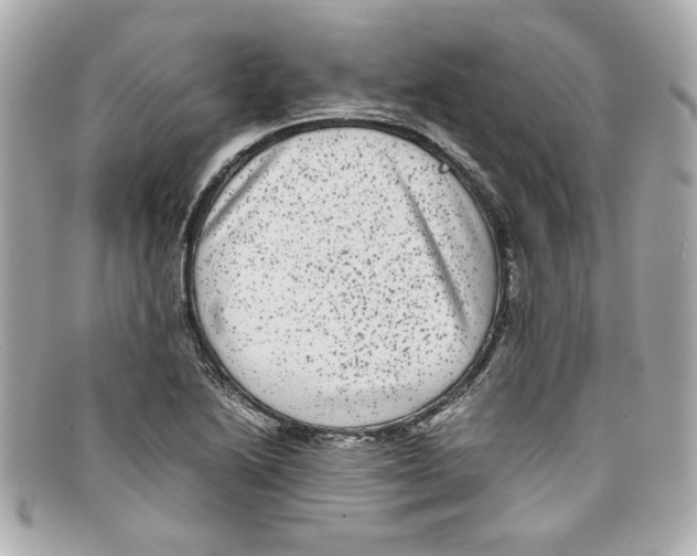 X0000097961222200804211054