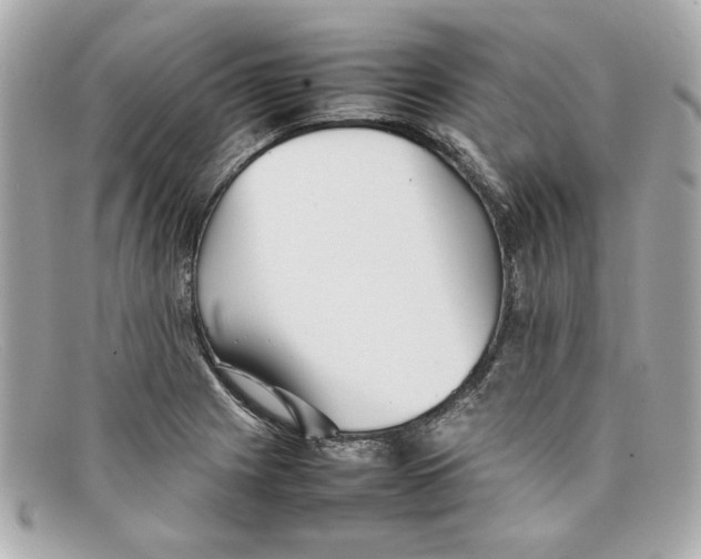 X0000097961225200804211054