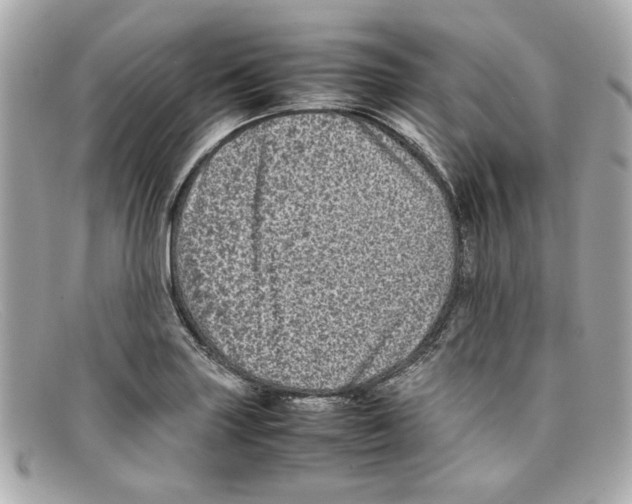 X0000097961227200804211054