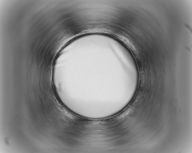 X0000097961228200804211054