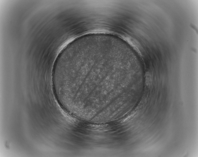 X0000097961229200804211054